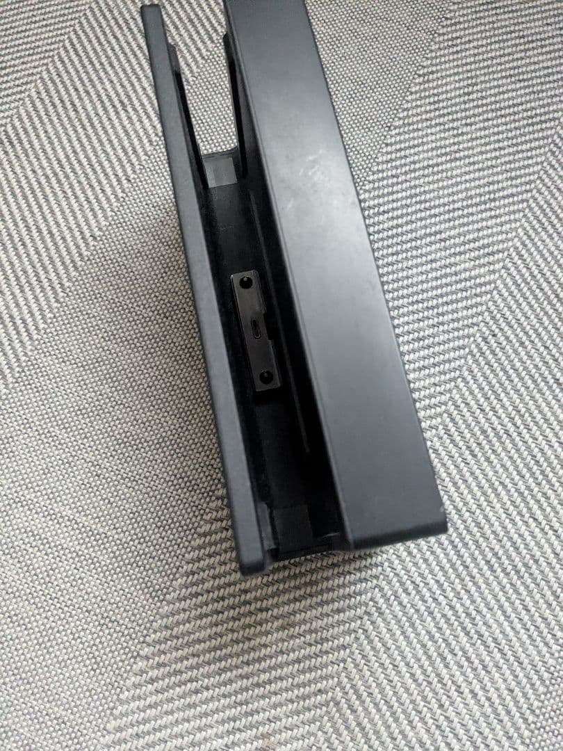 Nintendo Switch 本体とドッグ