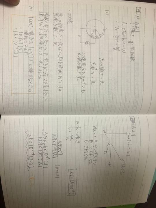 駿台 早慶コース テキスト 2017年版 バラ売り可
