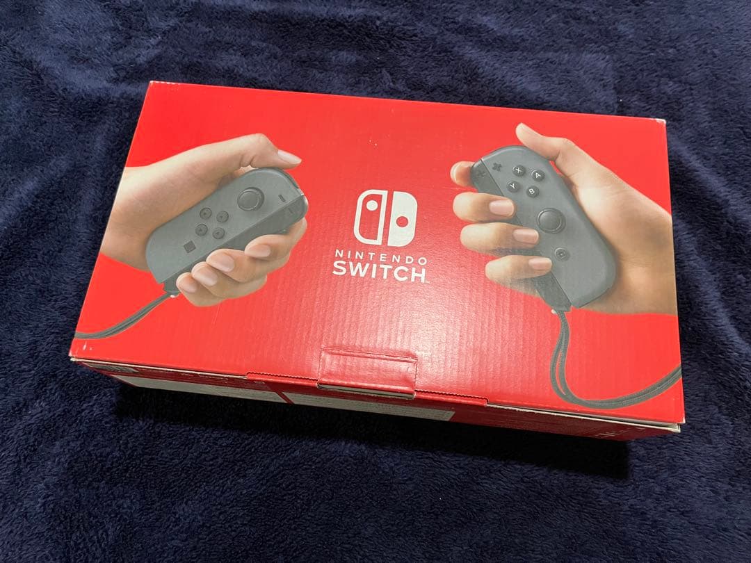 Nintendo Switch ニンテンドースイッチ 本体 グレー(動作確認済)