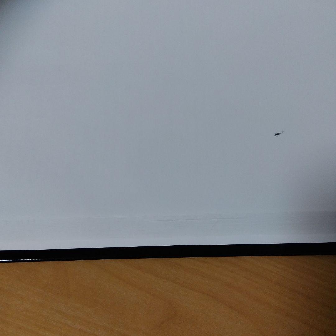 洋書 THE ANARCHIST COOKBOOK