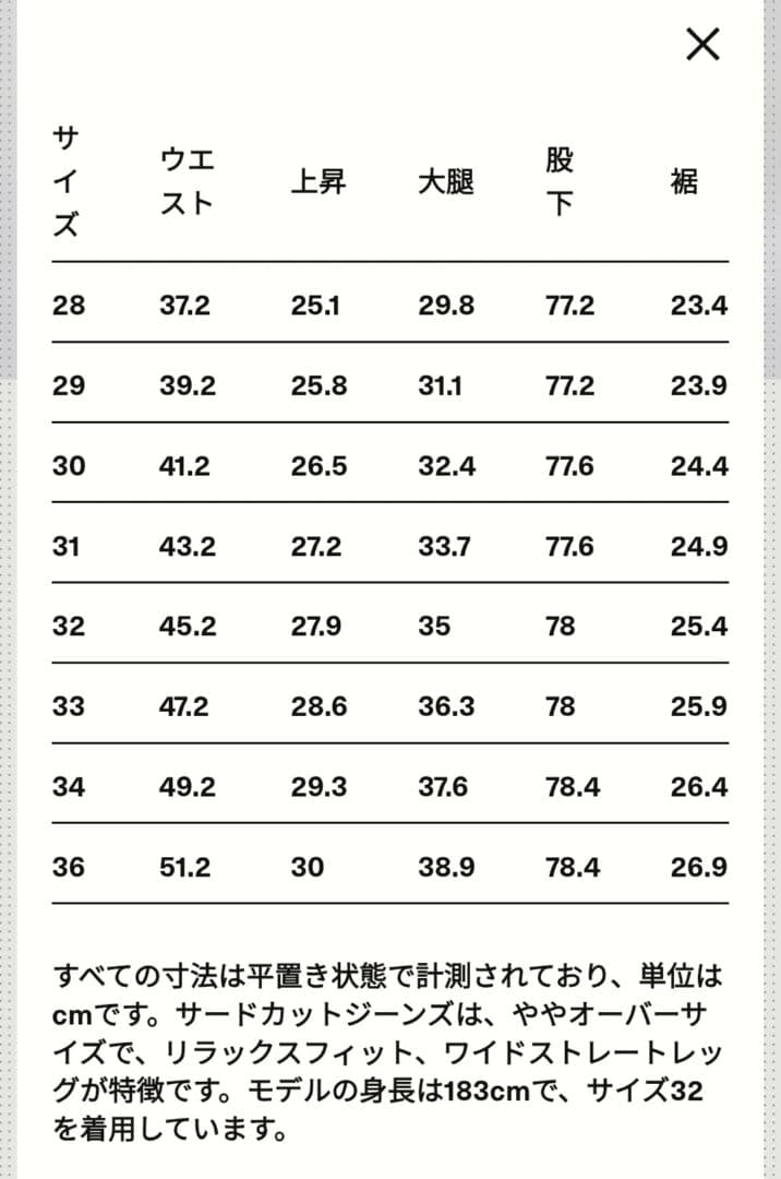 《 OUR LEGACY 》Third Cut HighwayCoffee　29